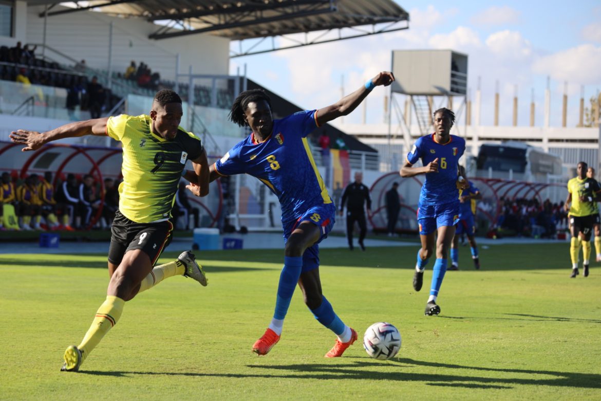 New-Look Cranes Show Growing Identity in Chad Test