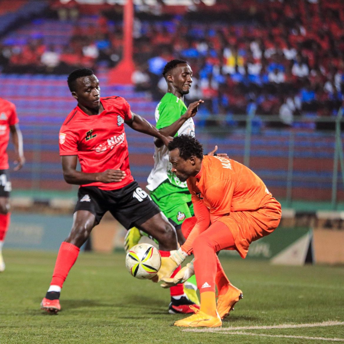 Vipers drop points again